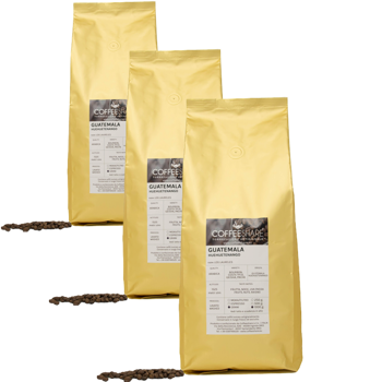 Cafe En Grain Torrefazione Coffeeshare Cafe Du Guatemala Huehuetenango 1 Kg - Pack 3 × Grains Pochette 1 kg