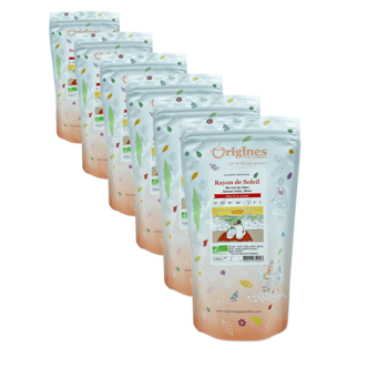 Tè Verde Bio in busta- Rayon de Soleil Chine - 100g - Pack 6 × Bustina 100 g