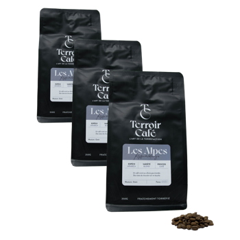 Terroir Cafe Café En Grains - La Composition Des Alpes - 250G - Pack 3 × Grains Pochette 250 g
