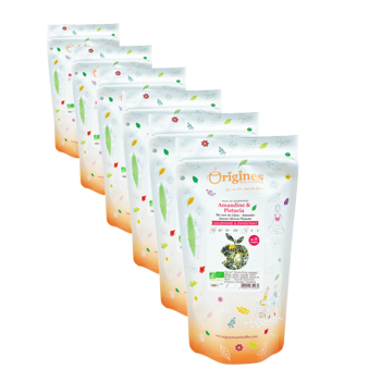 Grüner Tee Bio im Beutel - Amandine et Pistacia China - 100g - Pack 6 × Beutel 100 g