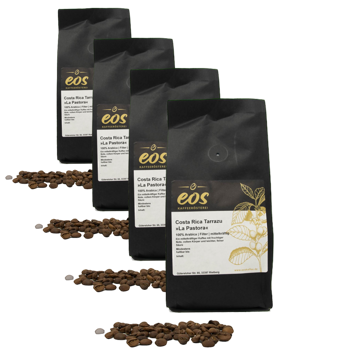 Cafe En Grain EOS Kaffeerösterei Costa Rica La Pastora 500 G - Pack 4 × Grains Pochette 500 g