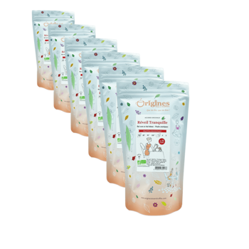 Grüner und weißer Tee Bio im Beutel - Réveil Tranquille Chine - 80g - Pack 6 × Beutel 80 g