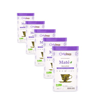 Maté Bio Vert in scatola di metallo - Brésil - 100g - Pack 5 × Scatola di metallo 100 g