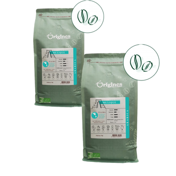 Caffè in grani - Mexique - 1kg - Pack 2 × Chicchi Bustina 1 kg