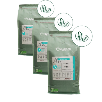 Caffè in grani - Mexique - 1kg - Pack 3 × Chicchi Bustina 1 kg