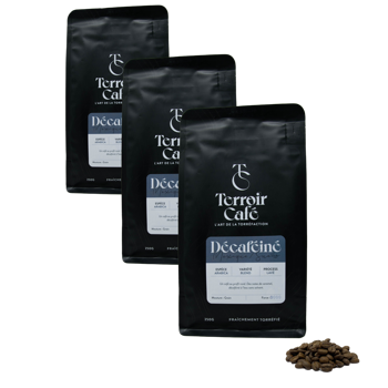 Café En Grain Terroir Cafe Terroir Cafe Mexique Decafeine Sueno 250G - 250 G - Pack 3 × Grains Pochette 250 g