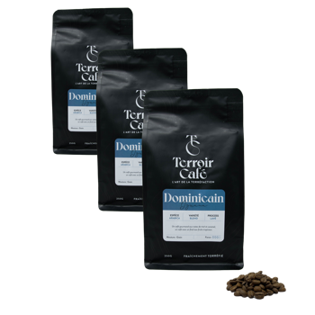 Terroir Cafe Café En Grains - République Dominicaine, Iguana 250G - Pack 3 × Grains Pochette 250 g