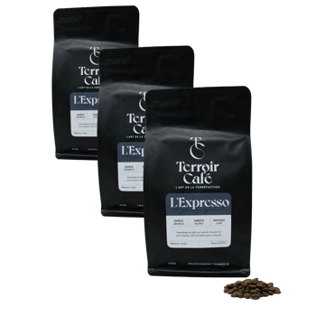 Café En Grain Terroir Cafe Terroir Cafe La Composition De L Espresso 250G - 250 G - Pack 3 × Grains Pochette 250 g