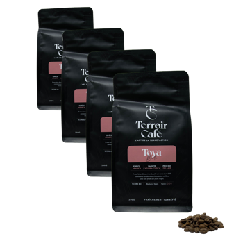 Caffè in grani - Bali, Toya - 250g - Pack 4 × Chicchi Bustina 250 g