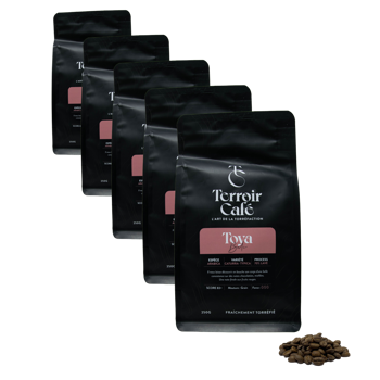 Kaffeebohnen - Bali, Toya - 250g - Pack 5 × Bohnen Beutel 250 g