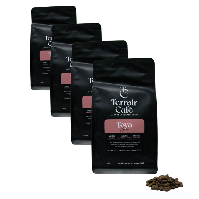 Kaffeebohnen - Bali, Toya - 250g by Terroir Cafe