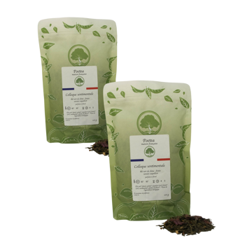 Grüner Tee mit Erdbeerduft  -100g - Pack 2 × Beutel 100 g