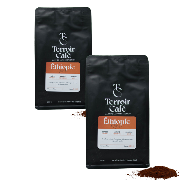 Gemahlener Kaffee - Äthiopien, Nyala 1kg by Terroir Cafe