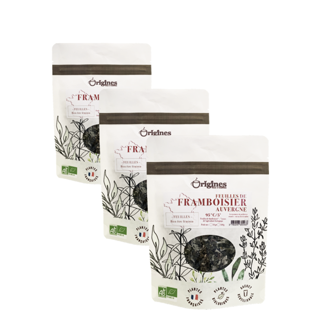 Infusion Bio Feuilles de framboisier - Vrac 500g by Origines Tea&Coffee