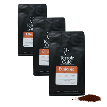 Terroir Cafe Terroir Cafe Ethiopie Nyala 250G Moulu Espresso - 250 G - Pack 3 × Moulu Espresso Pochette 250 g