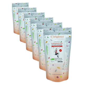 Grüner Tee Bio im Beutel - Lendemain de Fête Chine - 100g - Pack 6 × Beutel 100 g