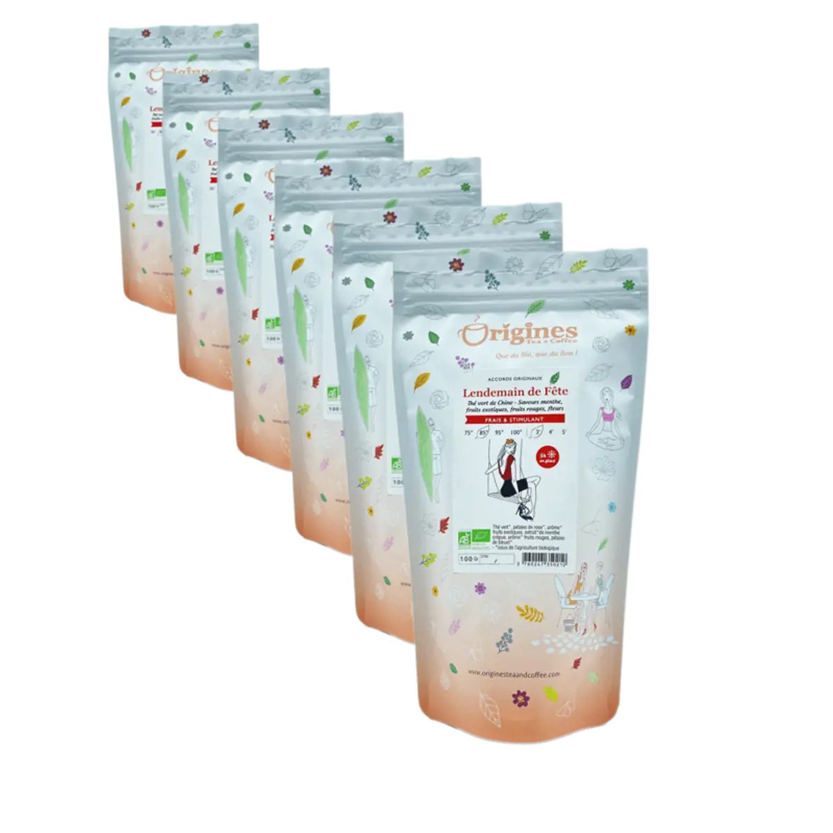 Tè Verde Bio in Busta - Lendemain de Fête Chine - 100g by Origines Tea&Coffee