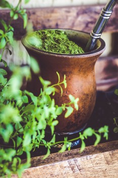 Tazza di yerba mate -  Italia