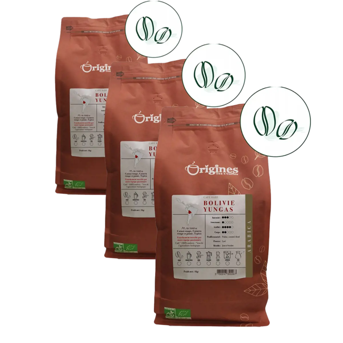 Caffè in grani - Bolivie Yungas - 1kg by Origines Tea&Coffee