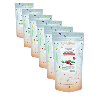 Maté Bio in busta - Tango du Maté Fruité Brésil - 100g - Pack 6 × Bustina 100 g