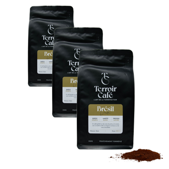 Terroir Cafe Terroir Cafe Bresil Linda 250G Moulu Espresso - 250 G - Pack 3 × Moulu Espresso Pochette 250 g