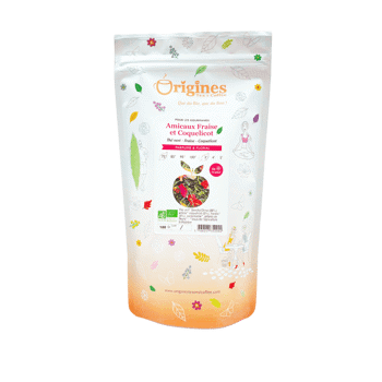 Origines Tea&Coffee The Vert Bio En Vrac Amicaux Fraise Et Coquelicot Chine 1Kg Fleur De The 1 Kg - Pochette 1 kg