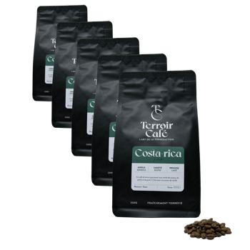 Kaffeebohnen - Costa Rica, Tico 250g - Pack 5 × Bohnen Beutel 250 g