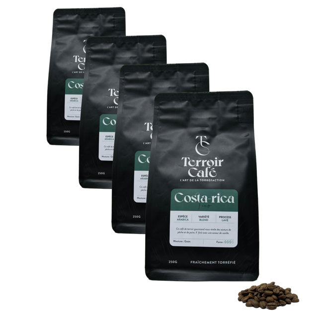 Kaffeebohnen - Costa Rica, Tico 250g by Terroir Cafe