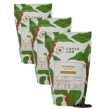 Caffè Etiopia Bona Ayele - Grani - Pack 3 × Chicchi Bustina 250 g