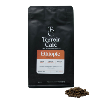 Terroir Café - Äthiopien, Nyala 1kg - Bohnen Beutel 1 kg