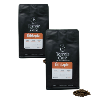 Caffè in grani - Etiopia, Nyala 250g - Pack 2 × Chicchi Bustina 1 kg