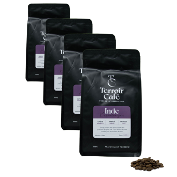 Kaffeebohnen - Indien, Kusha 250g - Pack 4 × Bohnen Beutel 250 g