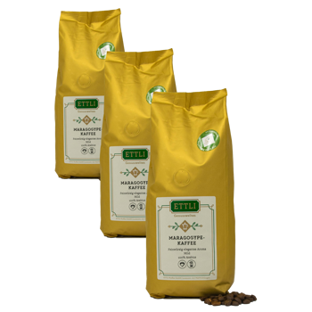 Caffè in grani - Maragogype - 500g - Pack 3 × Chicchi Bustina 500 g