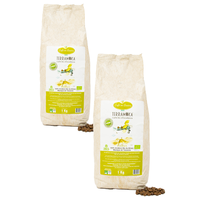Terramoka Café En Grains - Le Jeune Arthur - 1000G by Terramoka