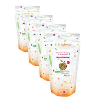 Origines Tea&Coffee The Vert Bio En Sachet Rencontre Mangue Bergamote Chine 100G - 100 G - Pack 4 × Pochette 100 g