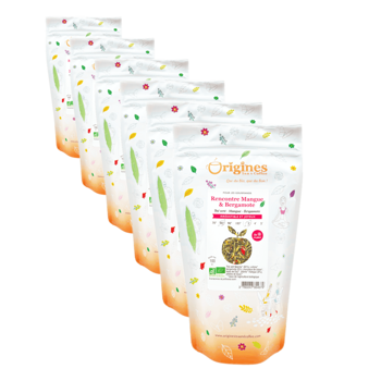 Tè Verde Bio in busta - Rencontre Mangue & Bergamote Chine - 100g - Pack 6 × Bustina 100 g