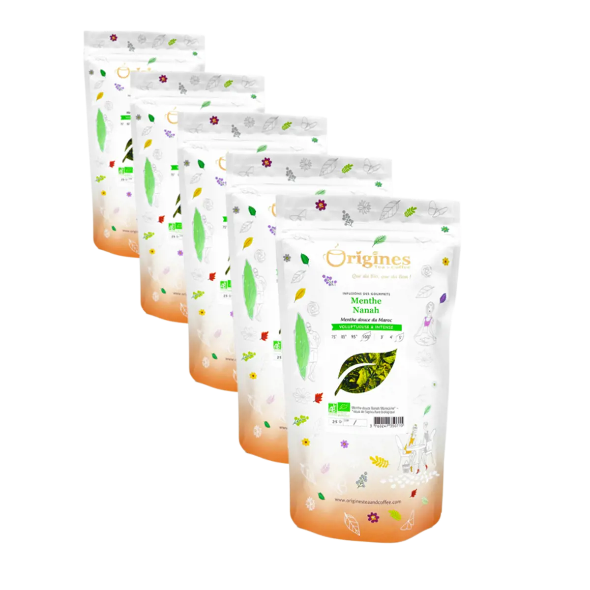 Infusion Bio Menthe Nanah Feuilles entières en Sachet - 20g by Origines Tea&Coffee