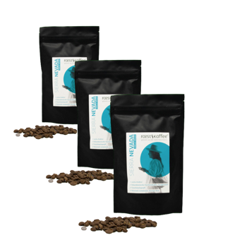 Cafe En Grain Roestkaffee Sierra Nevada Single Origin 500 G - Pack 3 × Grains Pochette 500 g