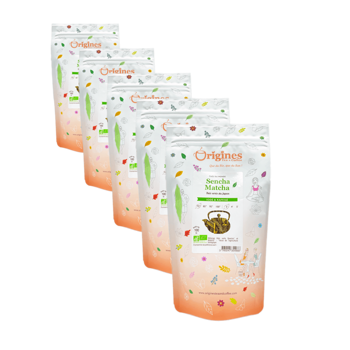 Grüner Tee Bio im Beutel - Sencha/Matcha Japon - 100g - Pack 5 × Beutel 100 g