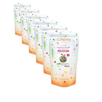 Tè Verde Bio in busta - Piquant de Citron Ceylan - 100g - Pack 6 × Bustina 100 g