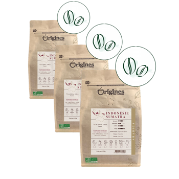 Origines Tea&Coffee Cafè En Grains - Indonésie Sumatra - 250G - Pack 3 × Grains Pochette 250 g