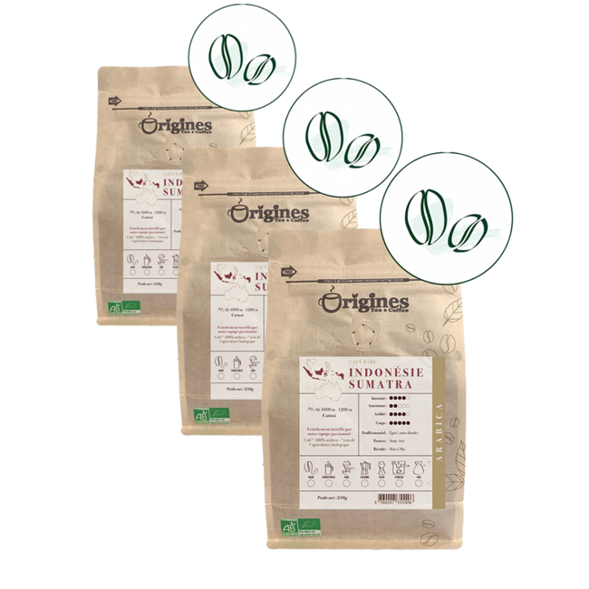 Origines Tea&Coffee Cafè En Grains - Indonésie Sumatra - 250G by Origines Tea&Coffee