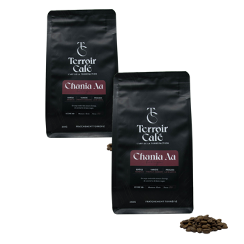 Terroir Café - Kenya, Chania Aa 250g - Pack 2 × Chicchi Bustina 250 g