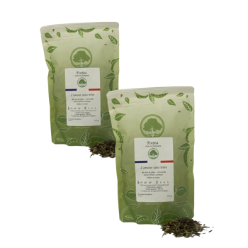 Grüner Teeaufguss mit Noten von Passionsfrucht und Zitronengras - 100g - Pack 2 × Beutel 100 g